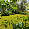 vakantiehuis Zomerhuisje Noord Holland Grootebroek