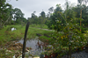 vakantiehuis Paramaribo Clevia Suriname