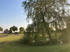 huisjetehuur Hoeve Molenschot Noord-Brabant Molenschot