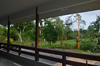 vakantiehuis Groene rust Clevia Paramaribo