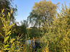 vakantiehuis Hoeve Molenschot Nederland Noord-Brabant Molenschot