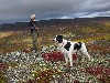 vakantiehuis Silkeros Oppland Reinheimen