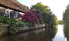 vakantiehuis Giethoorn-lodge Overijssel Giethoorn