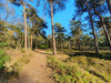vakantiehuis Hazenhorst | De Witte Bergen Overijssel-Drenthe IJhorst