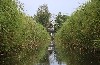 huisjetehuur Rust, natuur | aan het water Overijssel-Drenthe Giethoorn