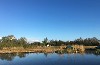 vakantiehuis Giethoorn Overijssel-Drenthe Nederland