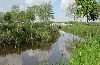 Nederland Overijssel Balkbrug Hardenberg