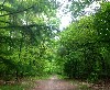 vakantiehuis huisje in het bos Overijssel Ommen