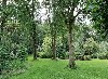 vakantiehuis t Vechtdalhuisje Nederland Dalfsen