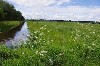 vakantiehuis Nederland Dalfsen