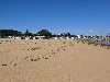 vakantiehuis Strand & Natuur Île d'Oléron Poitou-Charentes Saint-Denis-d'Oléron