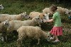 vakantiehuis Sans Parure Puy-de-Dôme/Auvergne Buxieres sous Montaigut