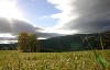huisjetehuur Tsjechië Reuzengebergte Rokytnice nad Jizerou