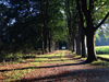 huisjetehuur Katerstede De Timmer Salland - Overijssel Deventer - Diepenveen