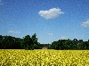 huisjetehuur Nederland Salland - Overijssel Deventer - Diepenveen