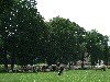 huisjetehuur Katerstede De Timmer Salland - Overijssel Deventer - Diepenveen