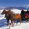huisjetehuur vakantiehuis Lofer Salzburg Lofer