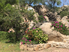 vakantiehuis La casa della zia Sardinië OT Osseddu OLBIA