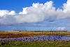 huisjetehuur Nederland Texel Den Hoorn