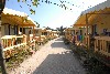 vakantiehuis Chalets | Aan zee | Toscane Italie Toscane Viareggio