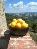 vakantiehuis Podere Lama hartje Toscane 18+ Italie Toscane Castelnuovo di val di Cecina