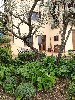 huisjetehuur Casacarnano Umbrie Montecchio