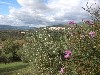 vakantiehuis Italie Montecchio