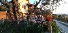 vakantiehuis Casacarnano Italie Montecchio