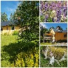vakantiehuis Holiday Home Letten Lake Zweden Värmlands län Letafors