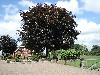 vakantiehuis Boerderij De Bruine Beuk Nederland Wezep