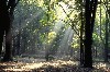 huisjetehuur De Schaapskooi Veluwe, Gelderland Vierhouten