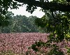 vakantiehuis De Schaapskooi Nederland Vierhouten