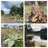 huisjetehuur Nederland Veluwe Gelderland Stroe / Kootwijkerbroek