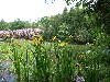 vakantiehuis Veluwe Veluwe/Gelderland Hulshorst nunspeet harderwijk