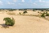 vakantiehuis Nederland Kootwijk