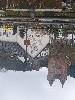 Duitsland Vulkaan eifel Mürlenbach