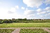 huisjetehuur Nederland Wadden eilanden, Terschelling TERSCHELLING