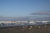 vakantiehuis TERSCHELLING Wadden eilanden, Terschelling Nederland