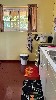 vakantiehuis vakantiewoning huize Keyain Wanica Paramaribo