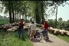 huisjetehuur Nederland Zeeland/NoordBevelan Wissenkerke