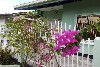 vakantiehuis Paramaribo Zorg en Hoop Suriname