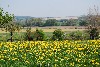 vakantiehuis De Vinkenhof Nederland Zuid Limburg Mechelen/Gulpen
