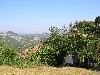 Italie Zuid Piemonte Alto Monferrato