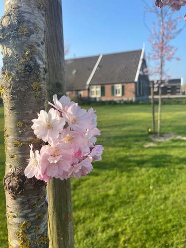 vakantiehuis Nederland achterhoek
