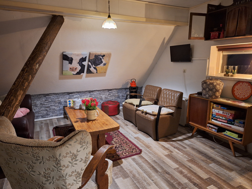 vakantiehuis Nederland Friesland