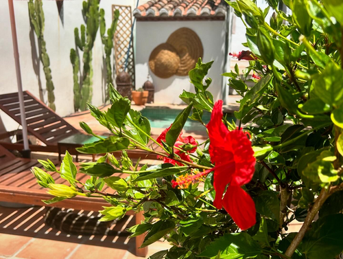 vakantiehuis Spanje Malaga