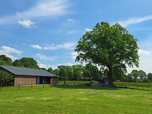 vakantiehuis Nederland Noord brabant