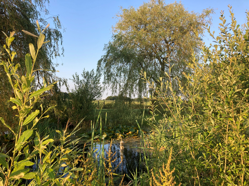 vakantiehuis Nederland Noord-Brabant