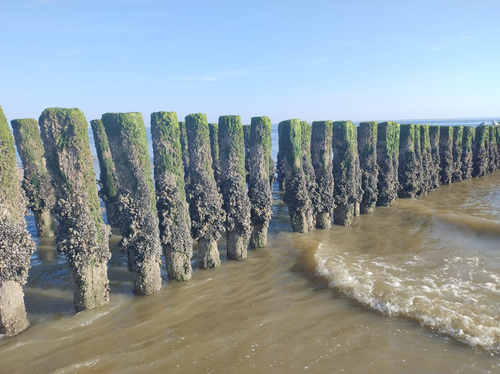 vakantiehuis Nederland Zeeland