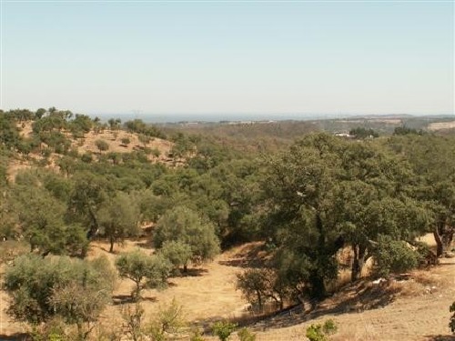 vakantiehuis Portugal Alentejo